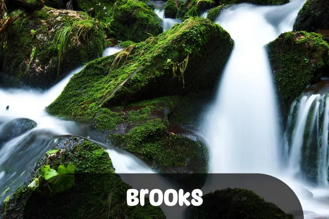 Imagem para Frases de Brooks