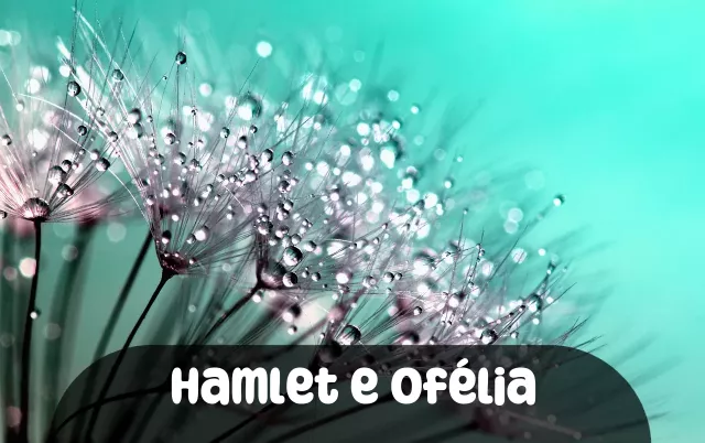 Imagem para Frases de Hamlet e Ofélia