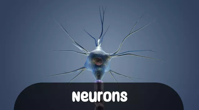 Imagem para Frases de Neurons