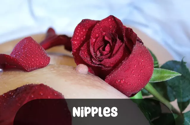 Imagem para Frases de Nipples
